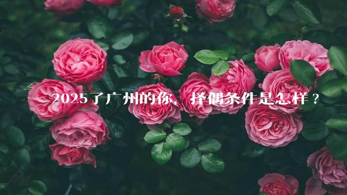 2025了广州的你，择偶条件是怎样?