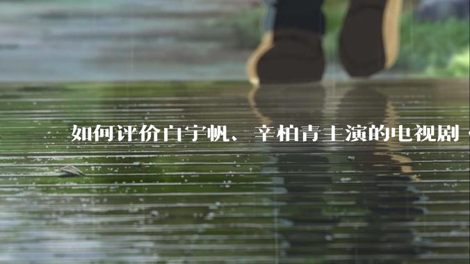 如何评价白宇帆、辛柏青主演的电视剧《护宝寻踪》？